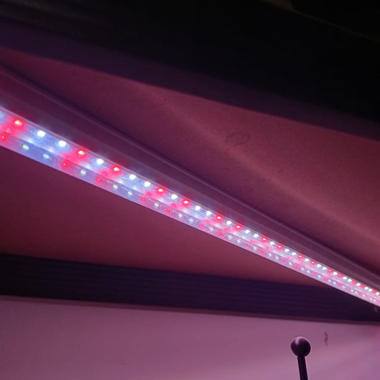 Glow light