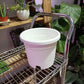 Plastic Pots