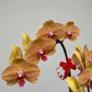 Phalaenopsis 3-in-1 Arrangement