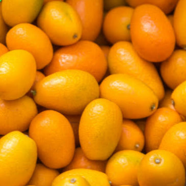 Taiwan Sweet Kumquat