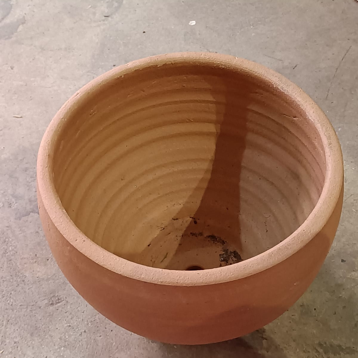 Terra Cotta (Medium) Pot