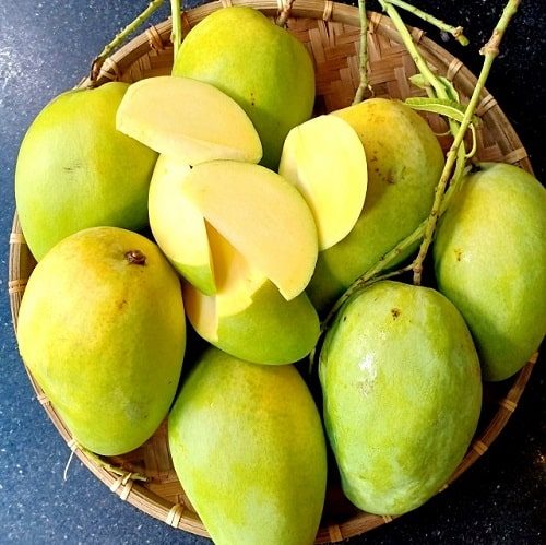 Vietnam Four Season Mango