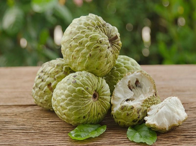 Custard Apple