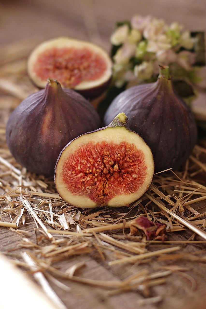 Fig