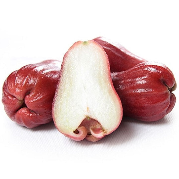 Red Jambu