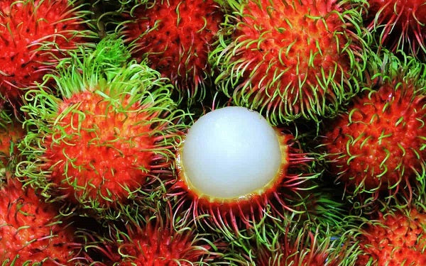 Tien Cuong Ramutan