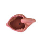Swan Clay Pot