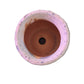 Circle Coral Pot