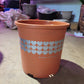 Heart Plastic Pot (S)