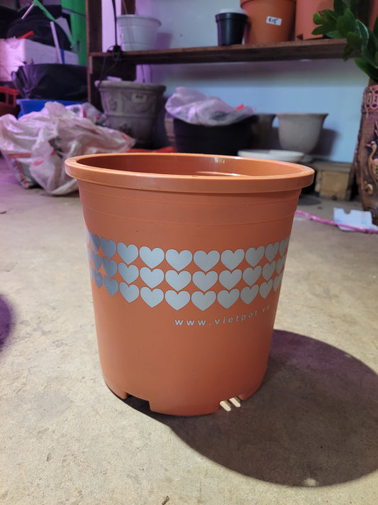 Heart Plastic Pot (S)