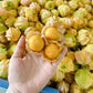 Physalis