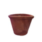 Oval Terracotta Pot (M)