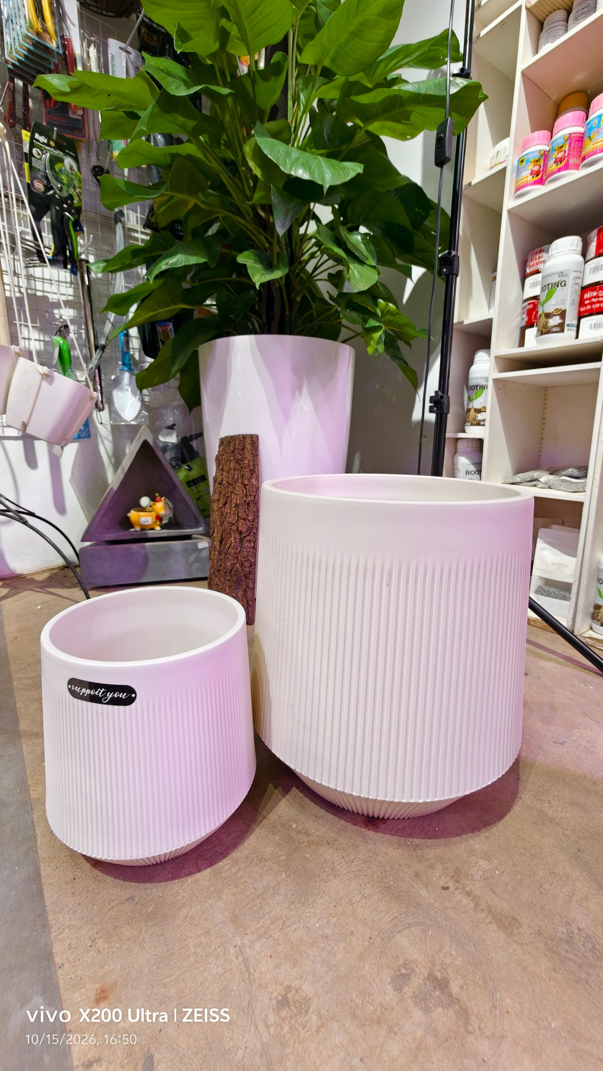 Design Plastic Pot