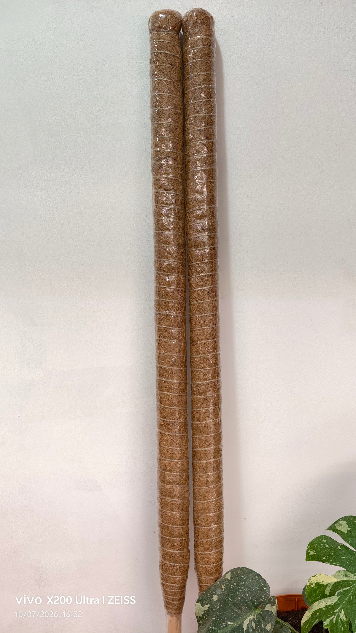 Bamboo pole 1.2mH