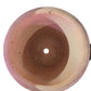 Terracotta Pot