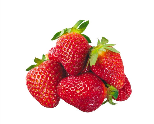 Tissue Cultured Heat Resistant SkyJapan Strawberry Seedling plants