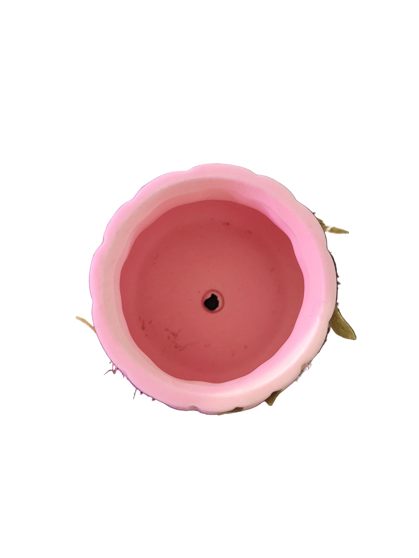Vine Ceramic Pot