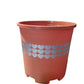 Heart Plastic Pots