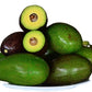 Thanh Son Dwarf Avocado