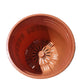 Heart Plastic Pots