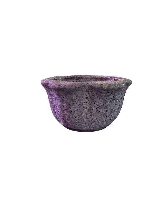 Flower Coral Pot