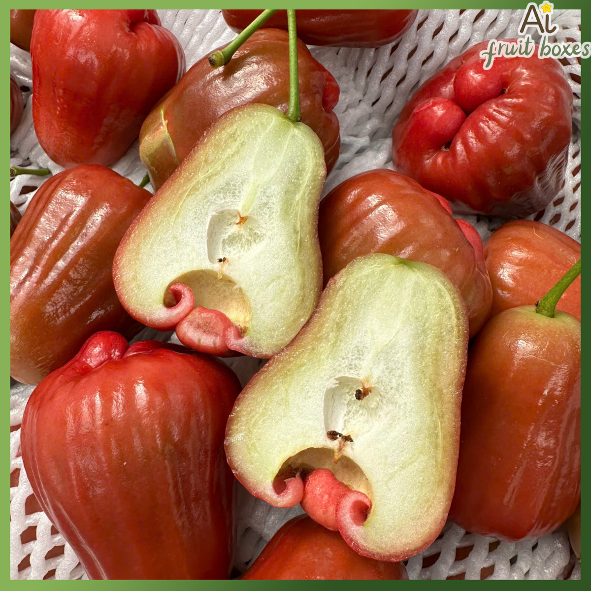 MST Red Jambu