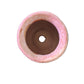 Circle Coral Pot