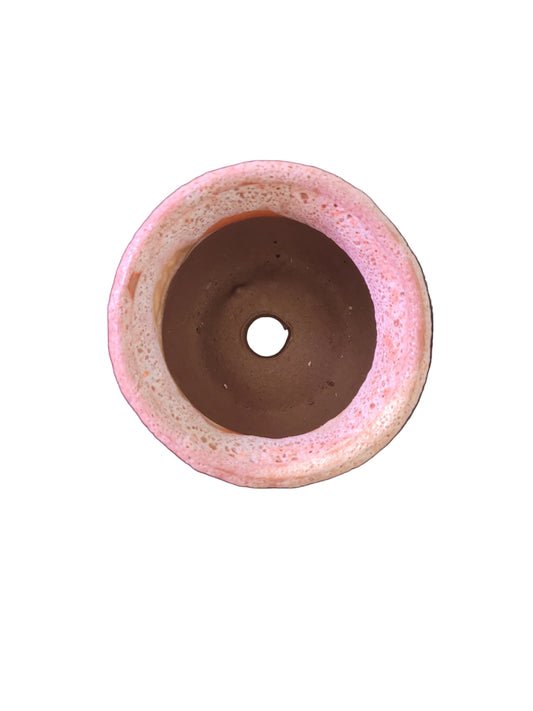 Circle Coral Pot