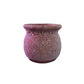 Circle Coral Pot