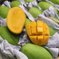 Hoa Loc Vietnam Sweet Mango