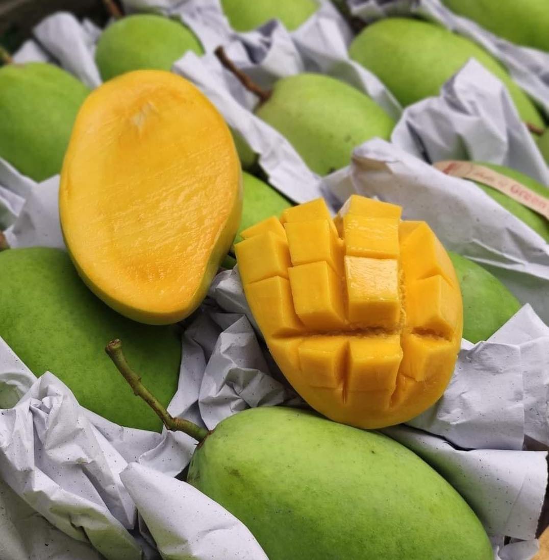 Hoa Loc Vietnam Sweet Mango