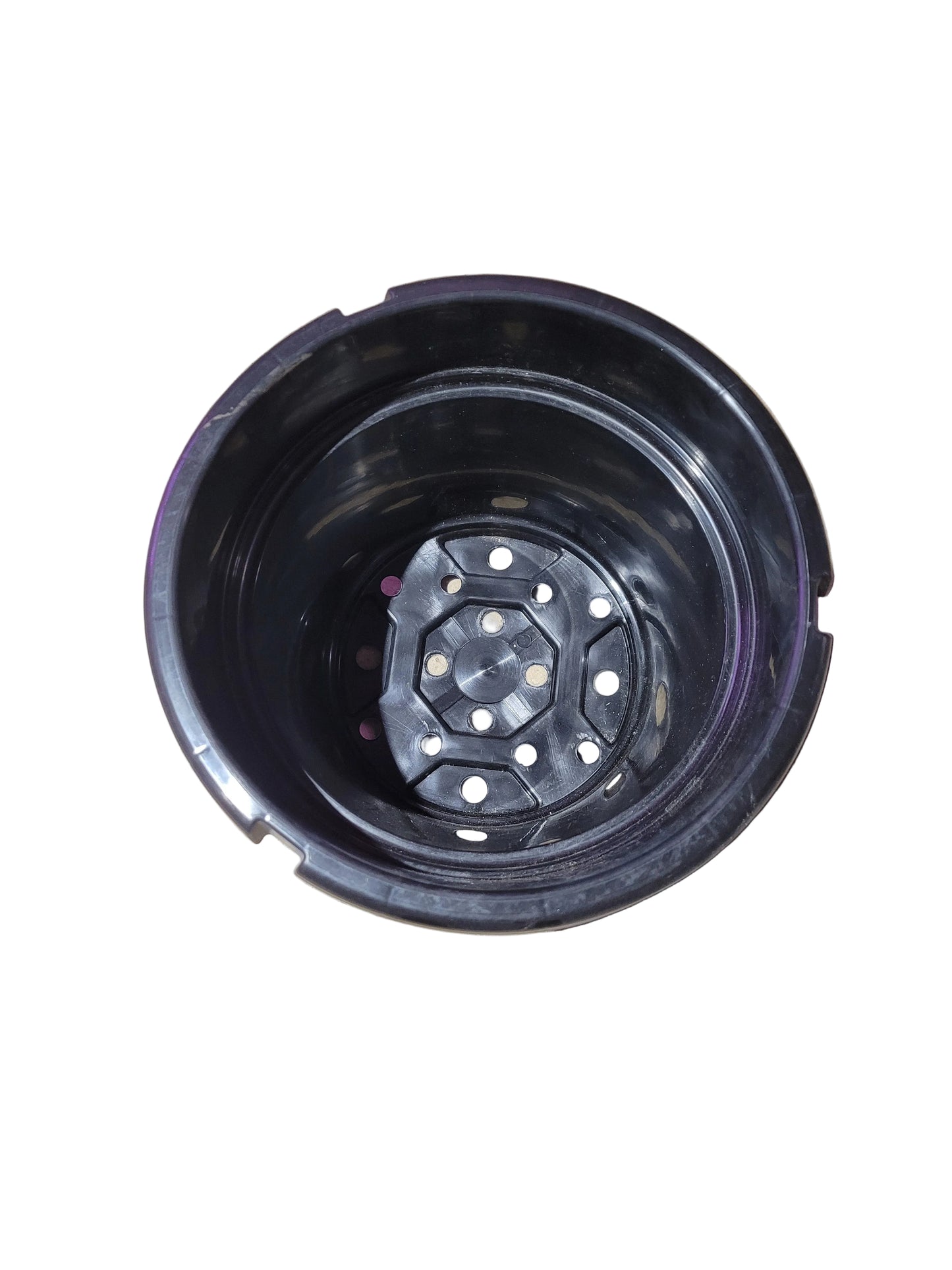 Black Hanging Plastic Pot