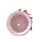 Vine Ceramic Pot