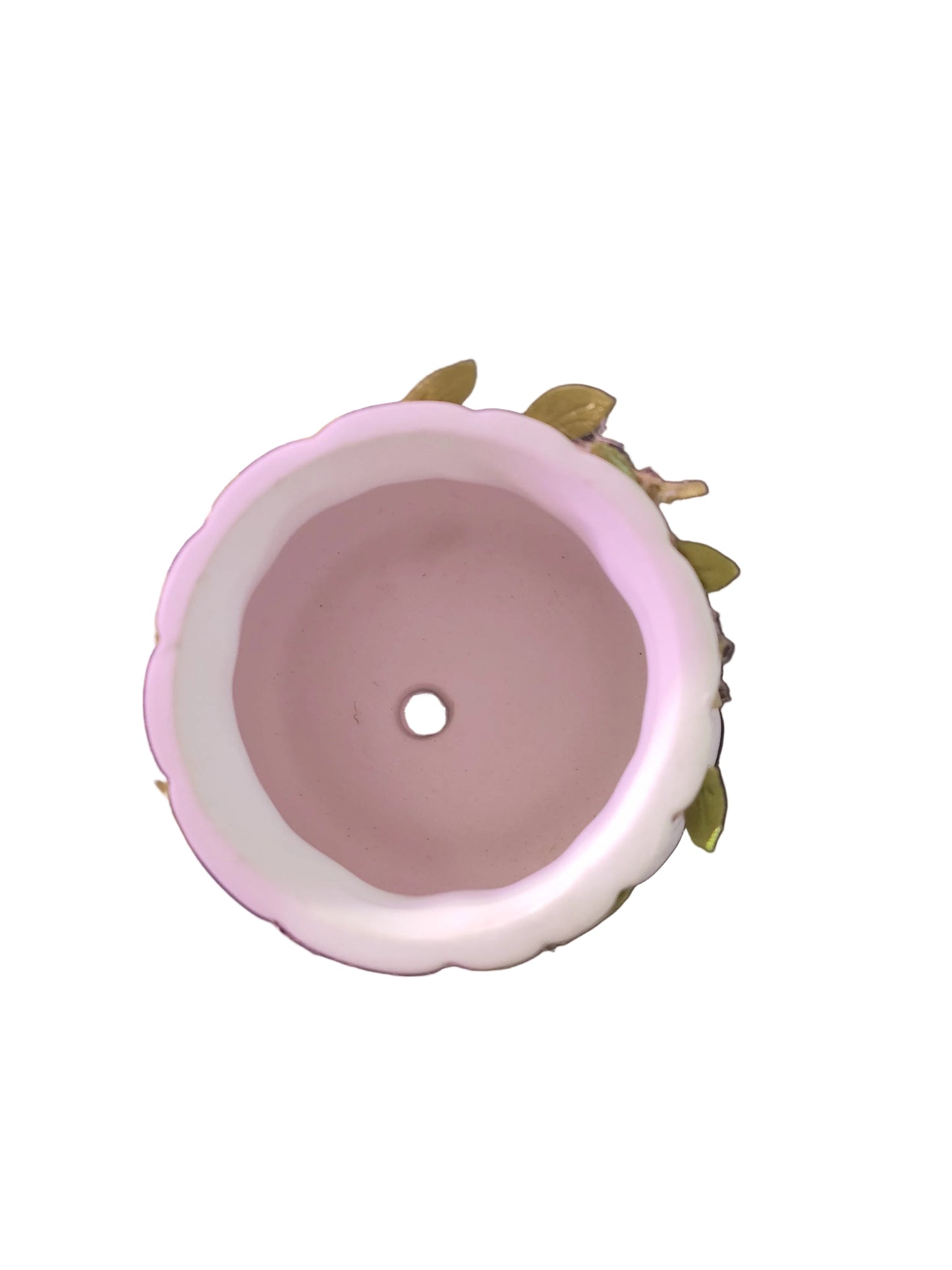 Vine Ceramic Pot