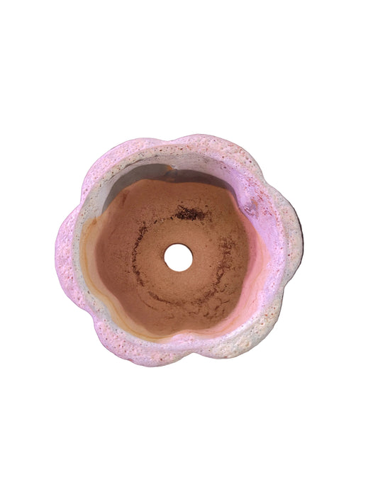 Flower Coral Pot