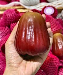 MST Red Jambu