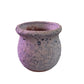 Circle Coral Pot