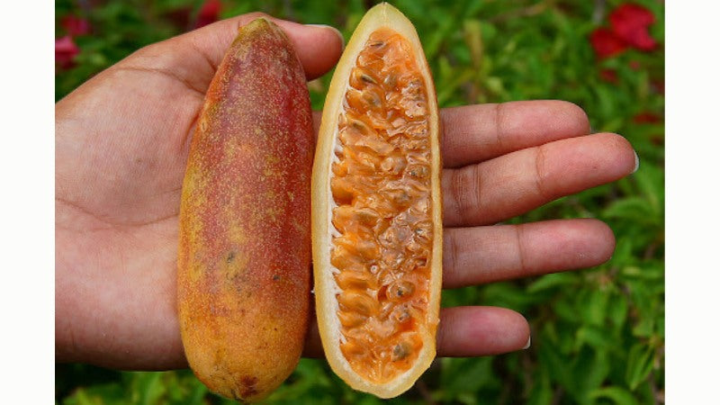 Banana passion fruit