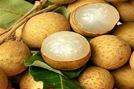 Grafted Longan Tree
