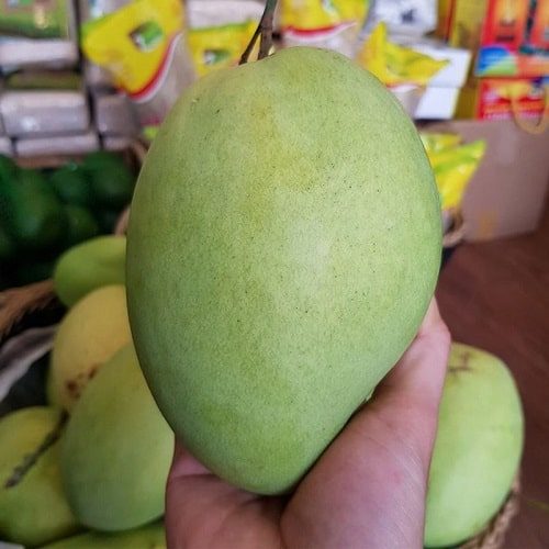 Vietnam Four Season Mango