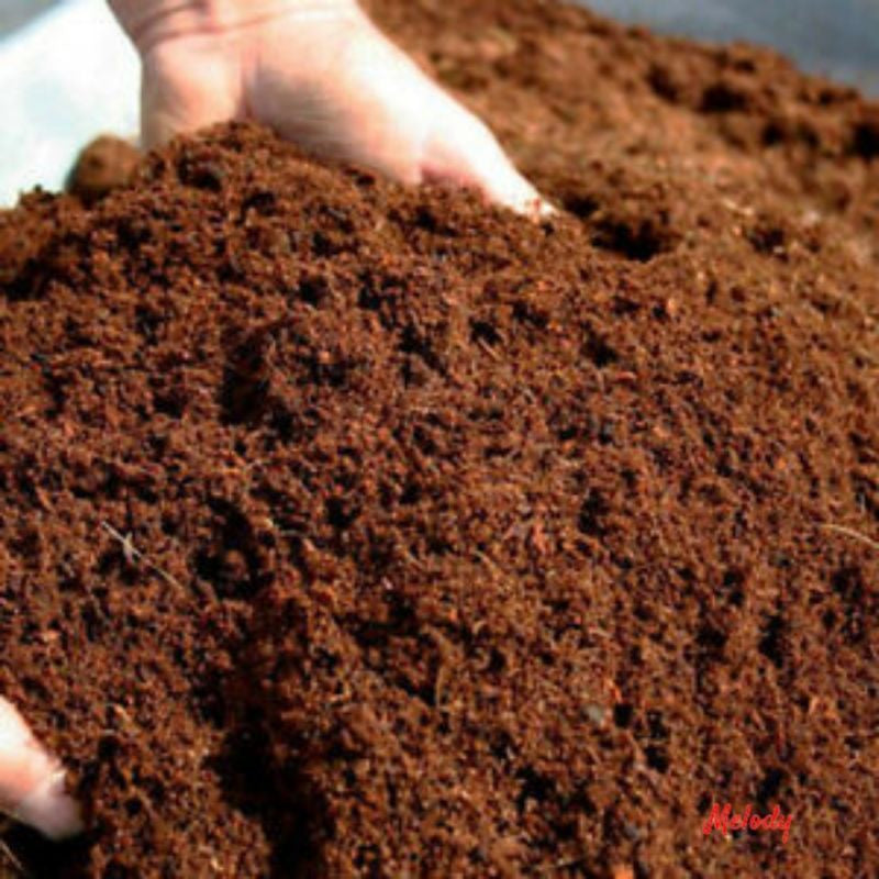 Cocopeat