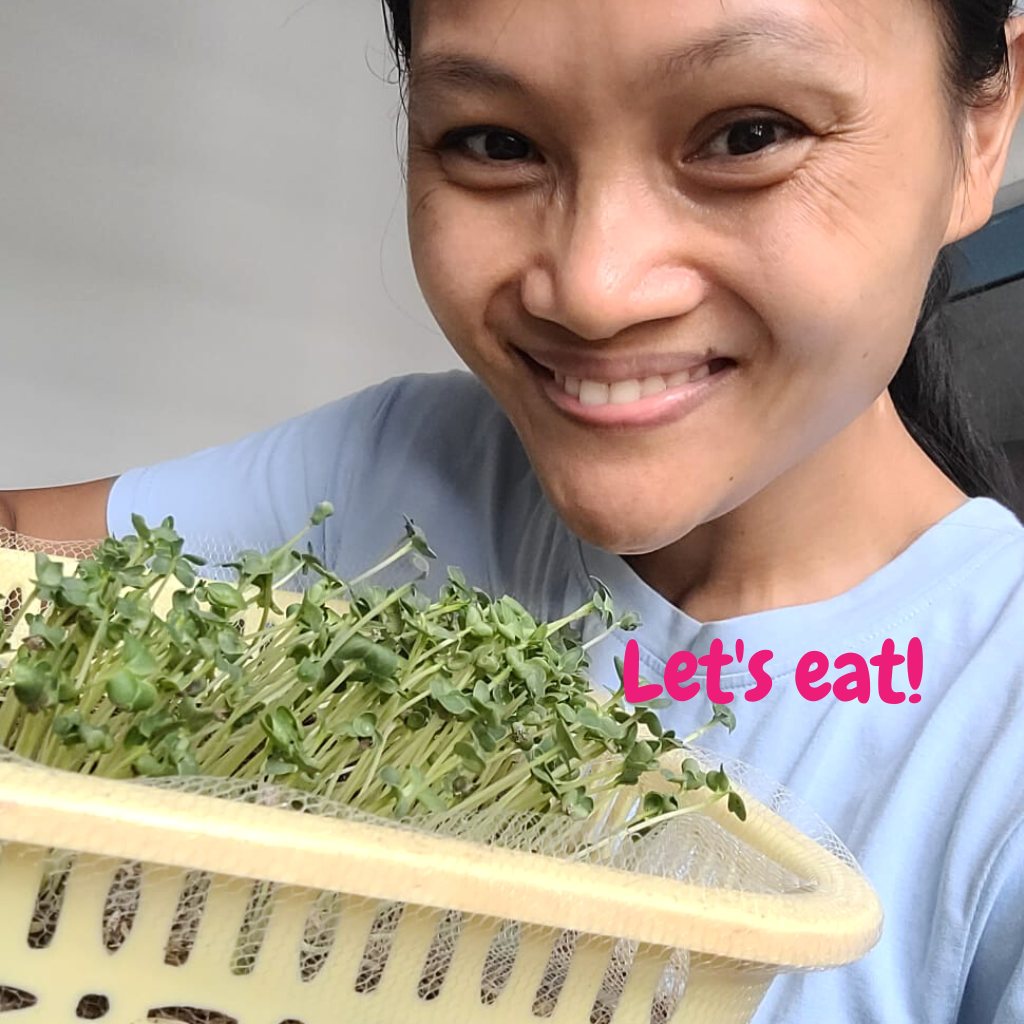 Microgreen Seeds