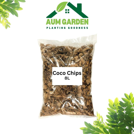 Coco Husk Chips
