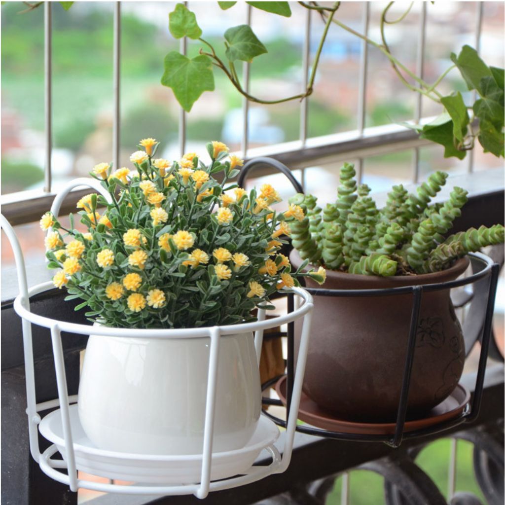 Pot Hanger Corridor or Balcony Planting