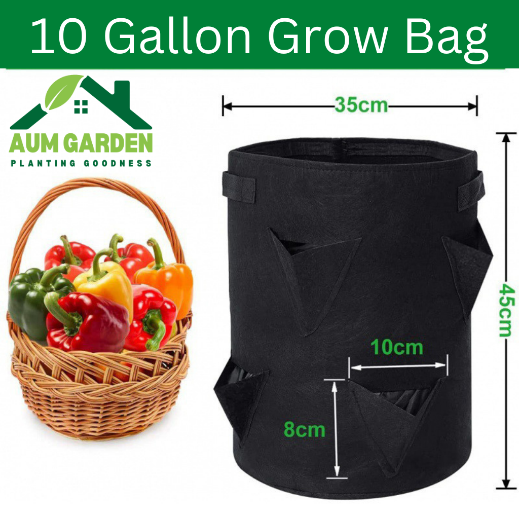 Fabric Grow Bag 1.5Gallon, 2 Gallon, 7 Gallon, 10 Gallon
